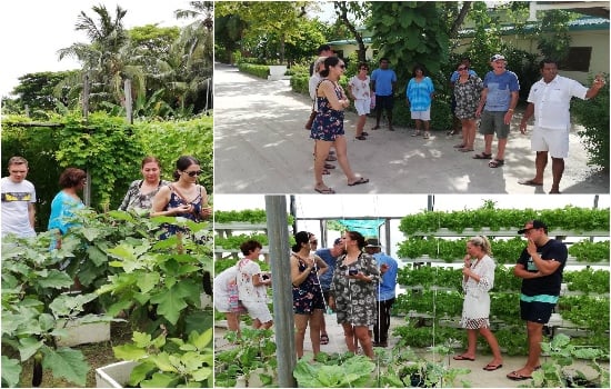 Meeru Island Garden and Greenhouse