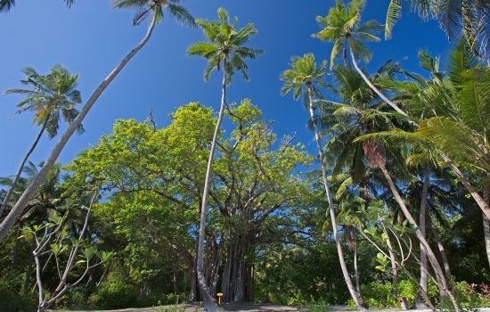 Meeru Island Maldives