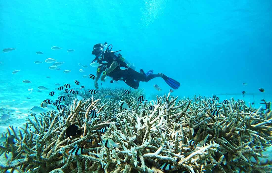 World Oceans Day at Meeru Island Resort & Spa Maldives