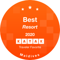 KAYAK TRAVEL AWARD, 2020